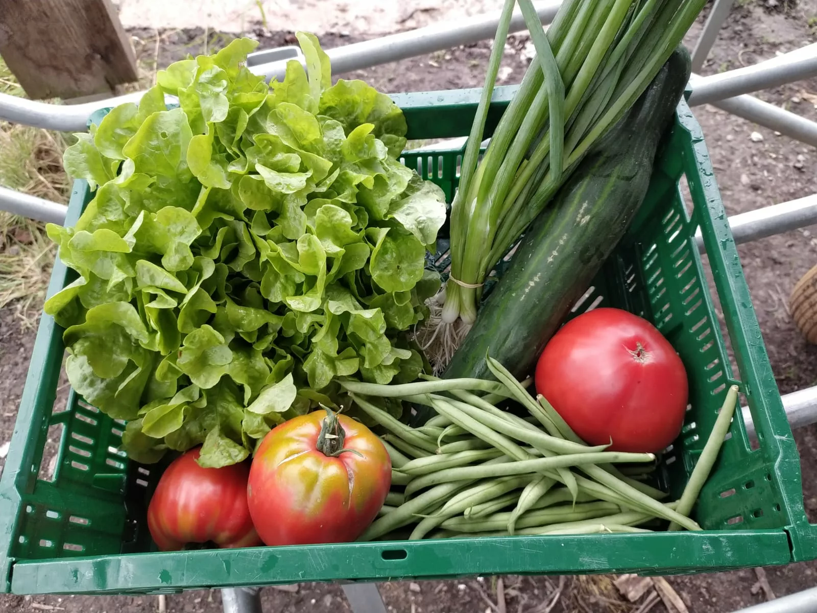 panier legumes bruxelles